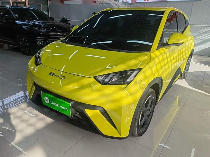 Фото 1 - BYD Seagull