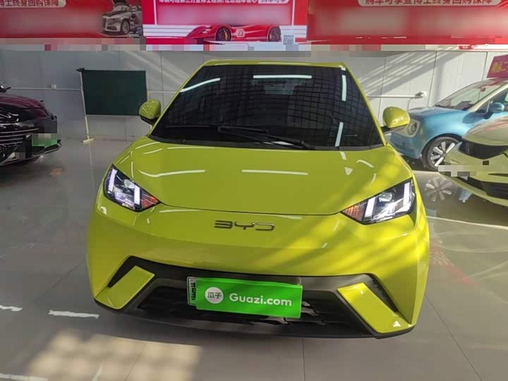 Фото 3 - BYD Seagull