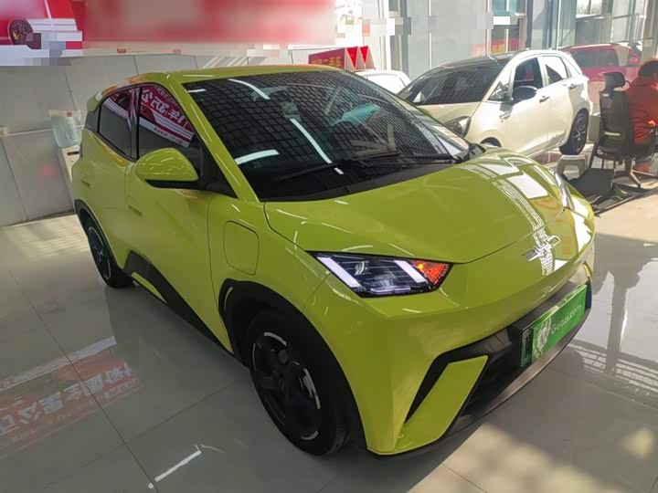 Фото 4 - BYD Seagull