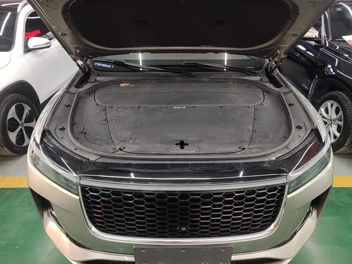 Фото 20 - LiXiang One