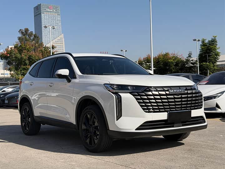 Фото 3 - Haval H6