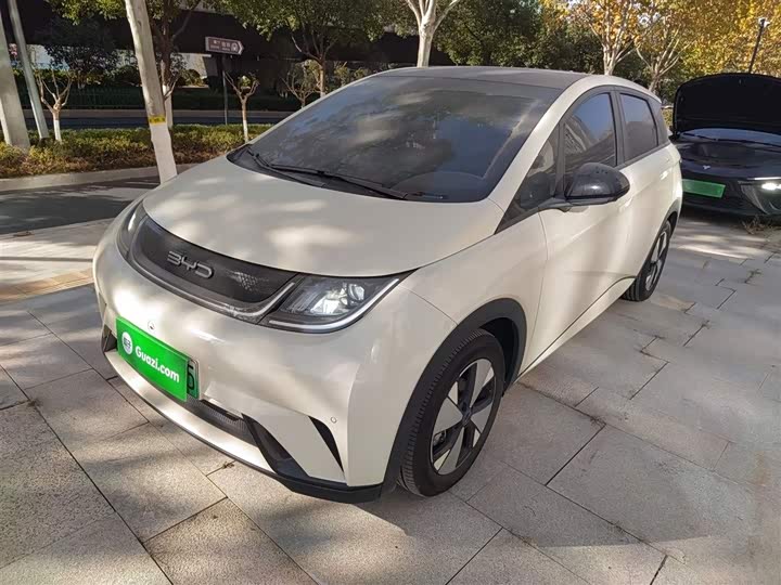 Фото 1 - BYD Dolphin