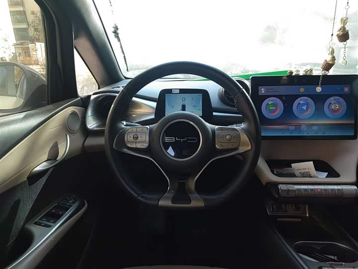 Фото 11 - BYD Dolphin