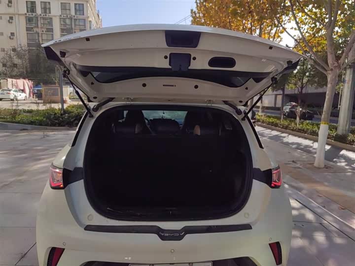 Фото 19 - BYD Dolphin