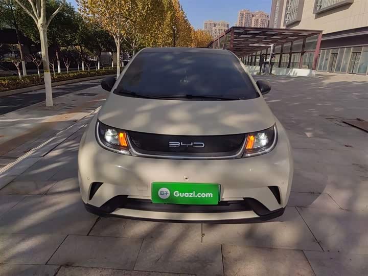 Фото 3 - BYD Dolphin