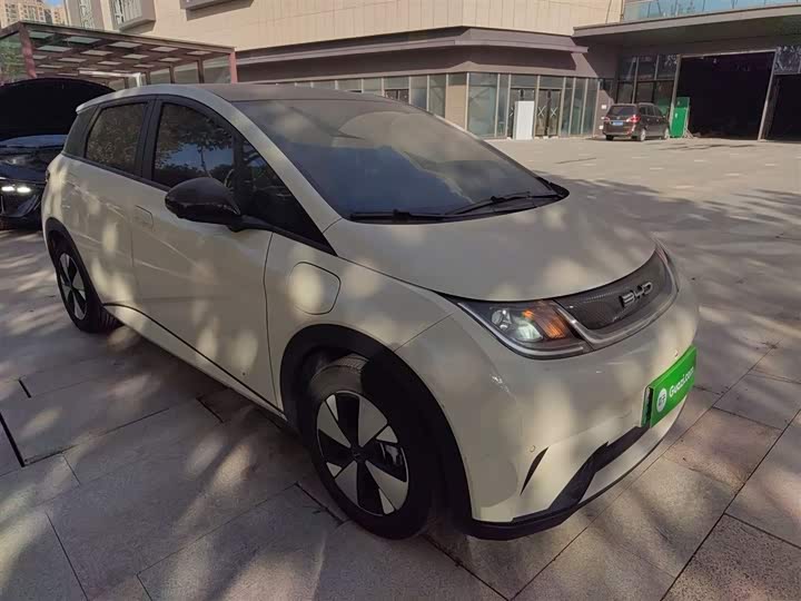 Фото 4 - BYD Dolphin