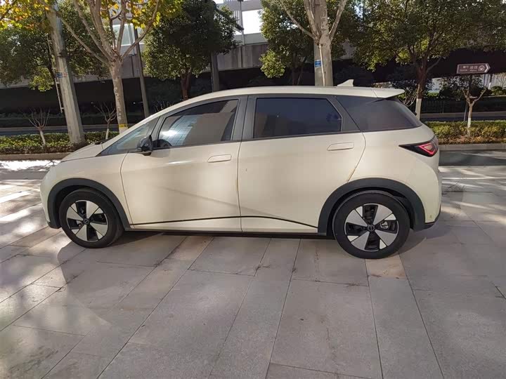 Фото 5 - BYD Dolphin