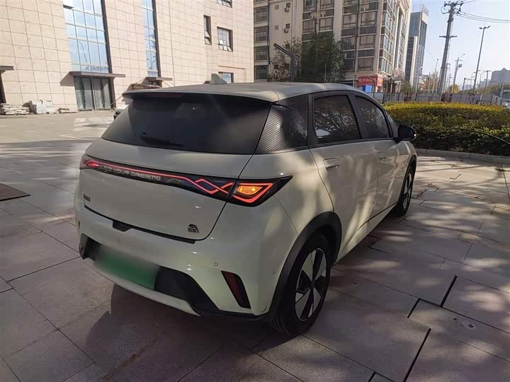 Фото 7 - BYD Dolphin