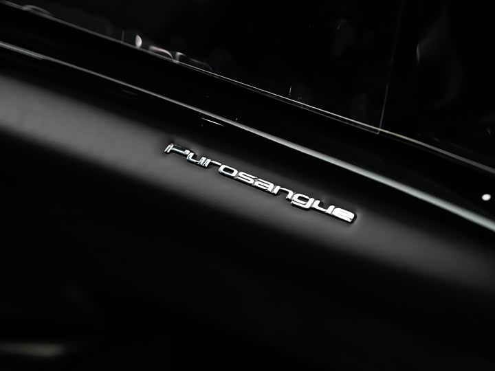 Фото 26 - Ferrari Purosangue