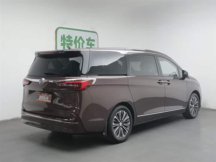 Фото 2 - Buick GL8 ES