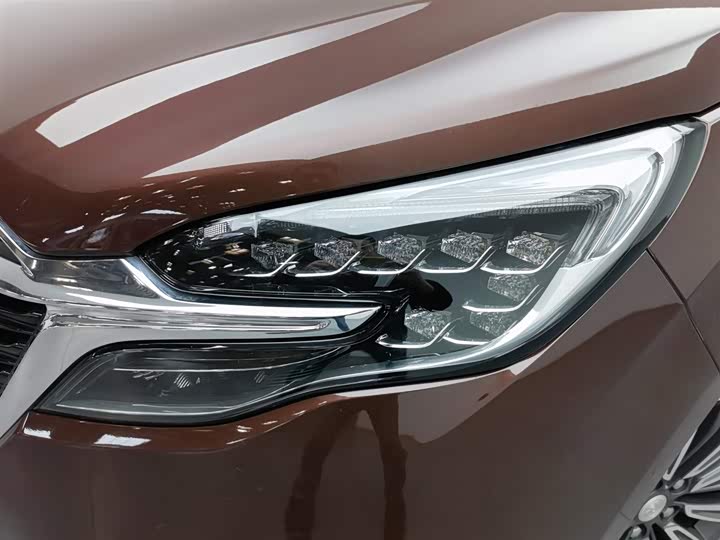 Фото 7 - Buick GL8 ES