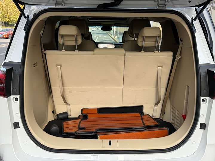 Фото 25 - Buick GL8 ES