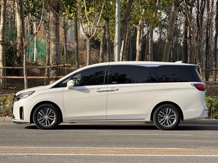 Фото 3 - Buick GL8 ES