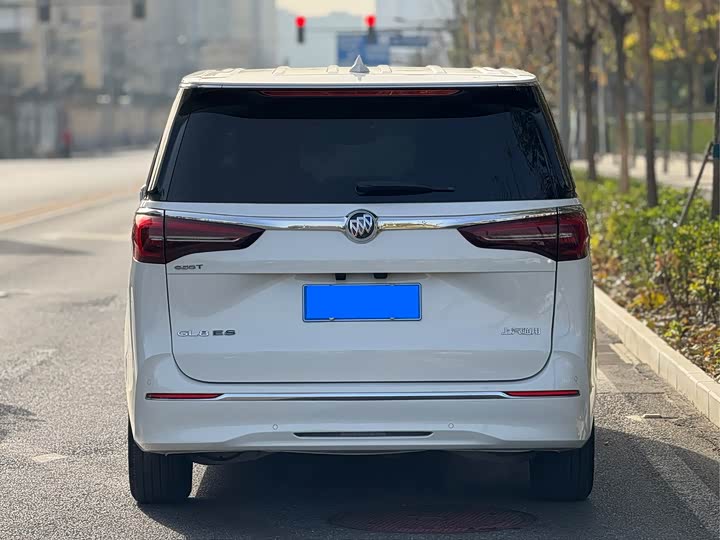 Фото 5 - Buick GL8 ES