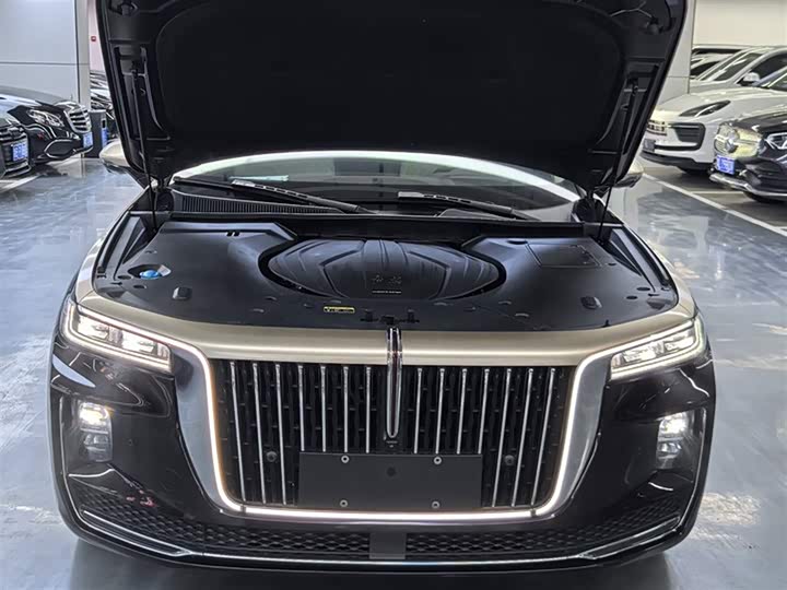 Фото 15 - Hongqi H9