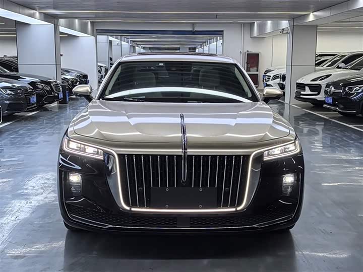 Фото 2 - Hongqi H9