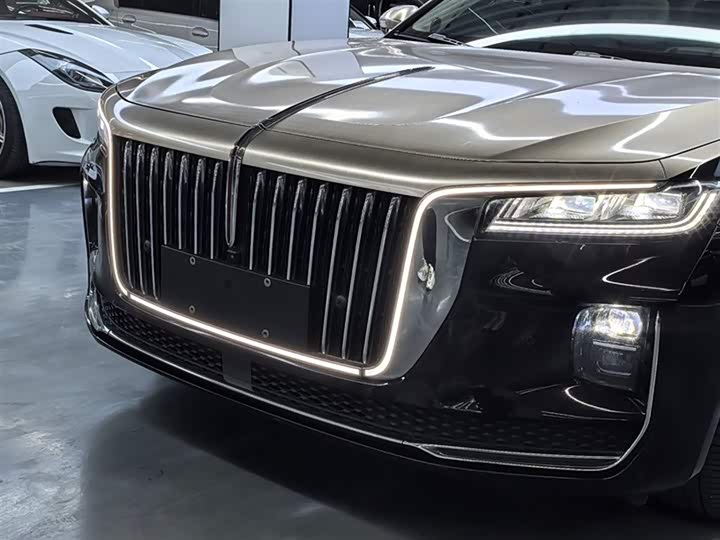 Фото 24 - Hongqi H9