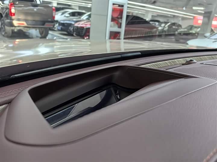 Фото 25 - Hongqi H9