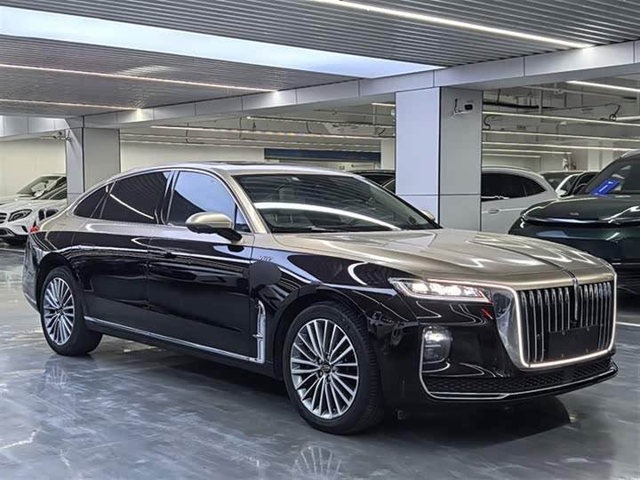 Фото 3 - Hongqi H9