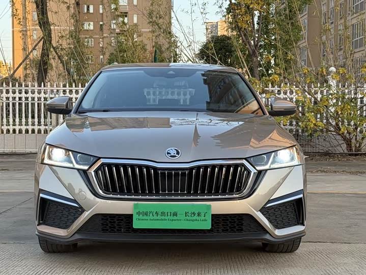 Фото 10 - Skoda Octavia Pro