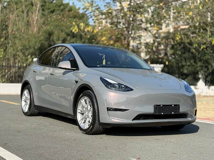 Фото 3 - Tesla Model Y