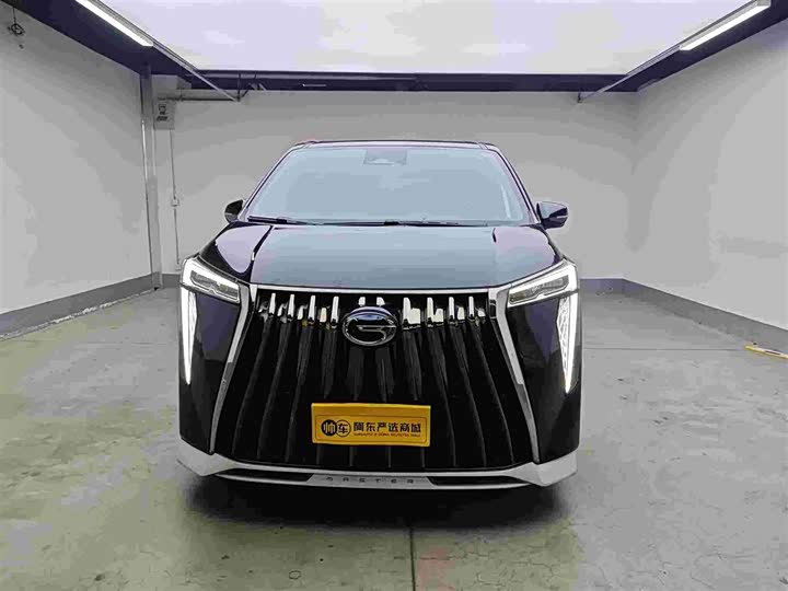 Фото 1 - GAC Trumpchi M8