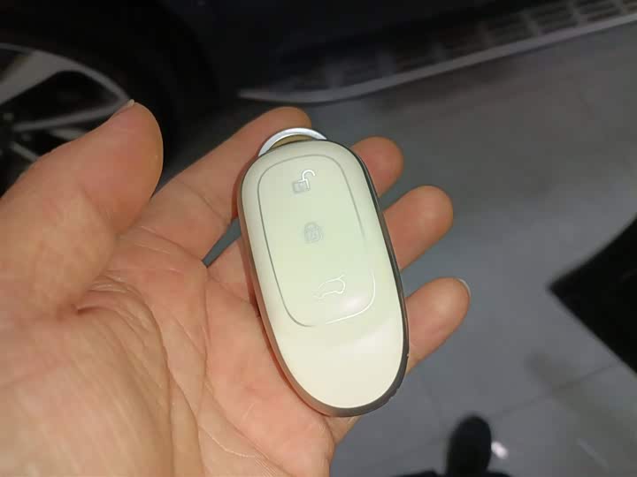 Фото 9 - LiXiang One