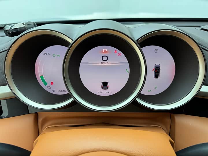 Фото 10 - Ora Lightning Cat (07)