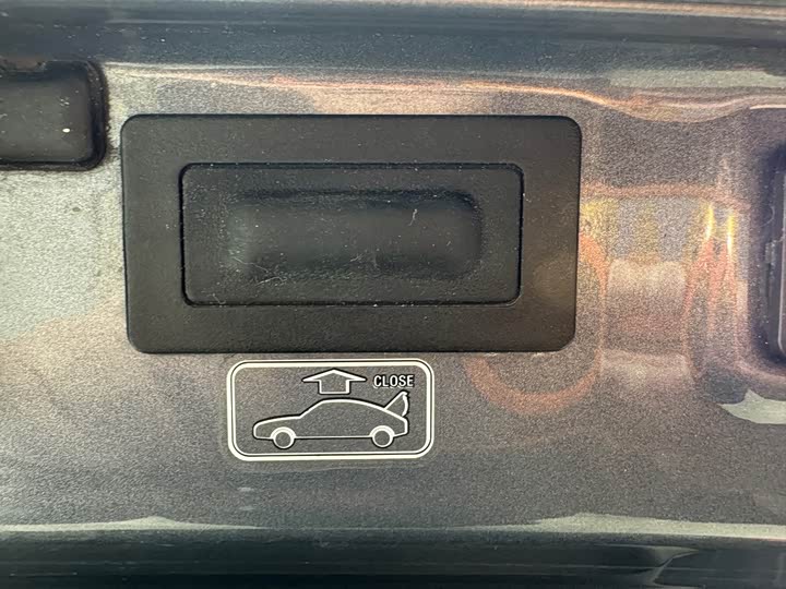 Фото 17 - Ora Lightning Cat (07)