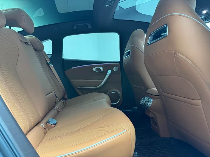 Фото 18 - Ora Lightning Cat (07)