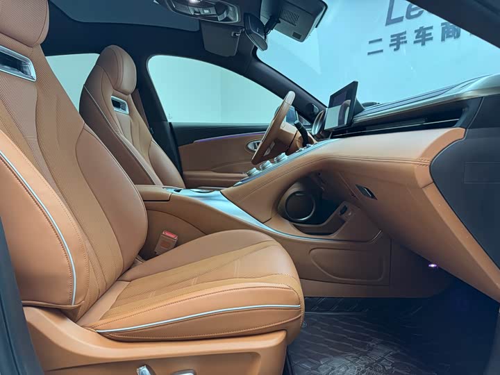 Фото 19 - Ora Lightning Cat (07)