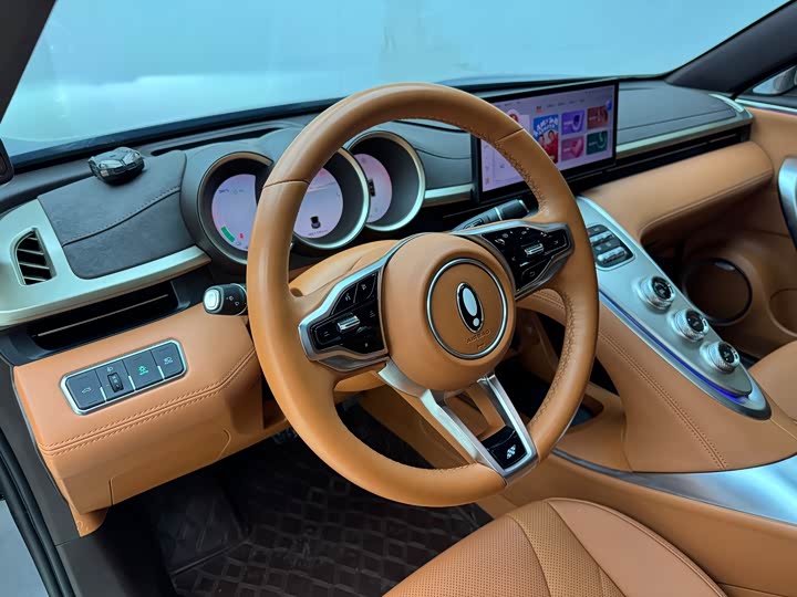 Фото 6 - Ora Lightning Cat (07)