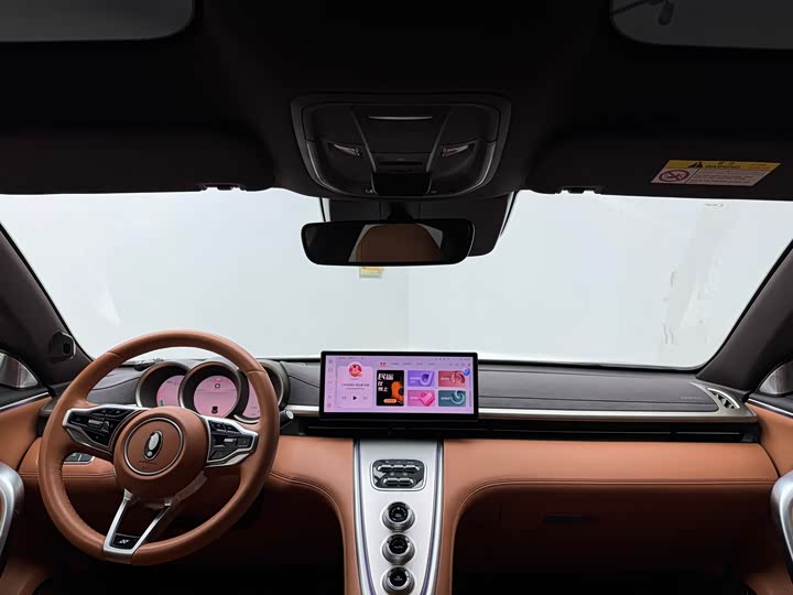 Фото 8 - Ora Lightning Cat (07)