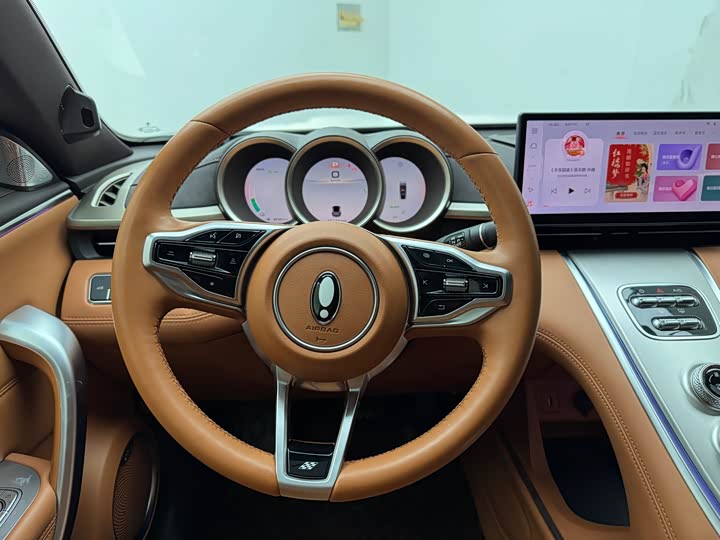 Фото 9 - Ora Lightning Cat (07)