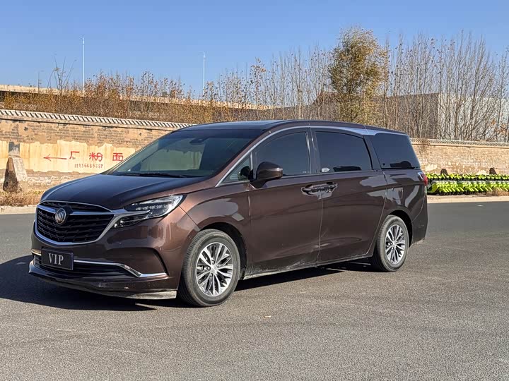 Фото 1 - Buick GL8 ES