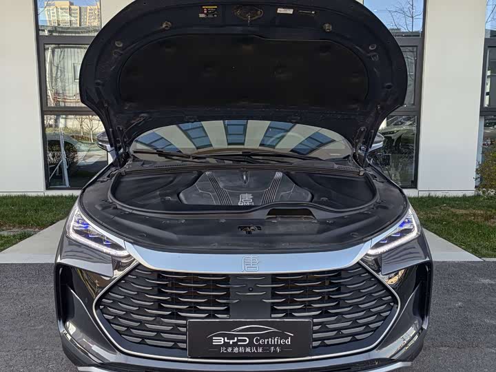 Фото 2 - BYD Tang Hybrid/EV