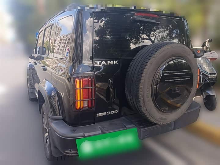 Фото 27 - Tank 300