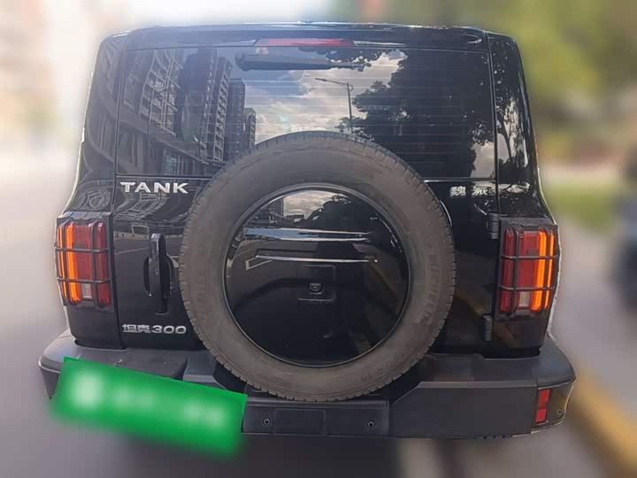 Фото 28 - Tank 300