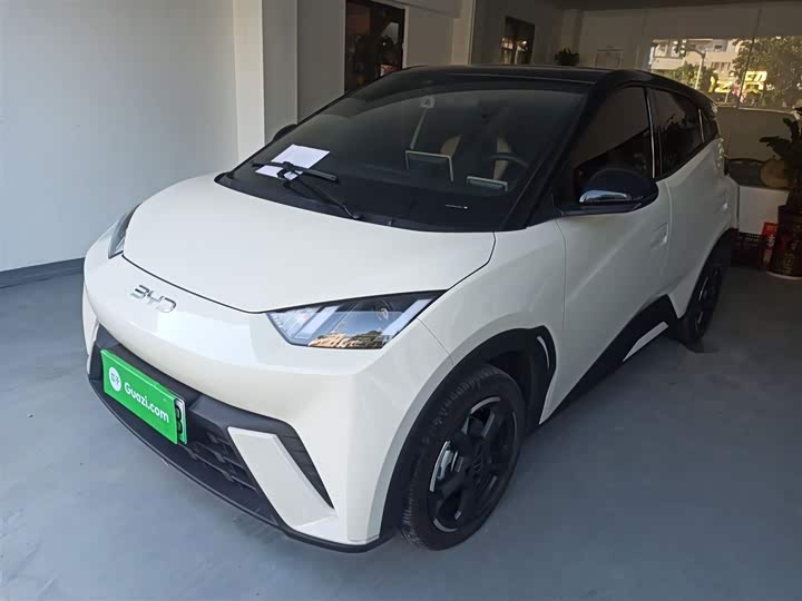 Фото 2 - BYD Seagull