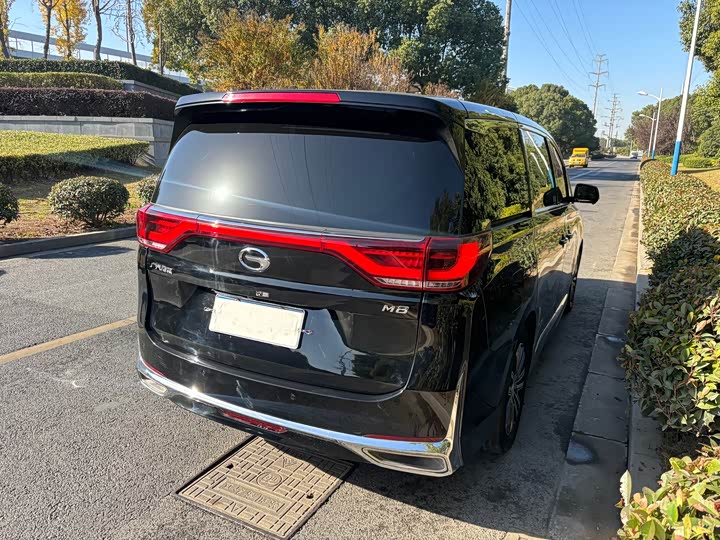 Фото 5 - GAC Trumpchi M8