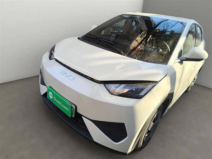 Фото 2 - BYD Seagull