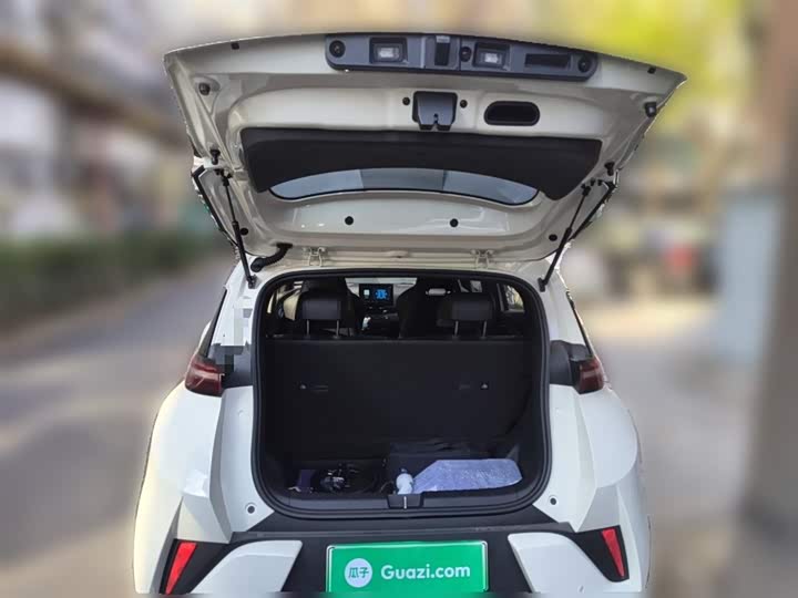 Фото 21 - BYD Seagull