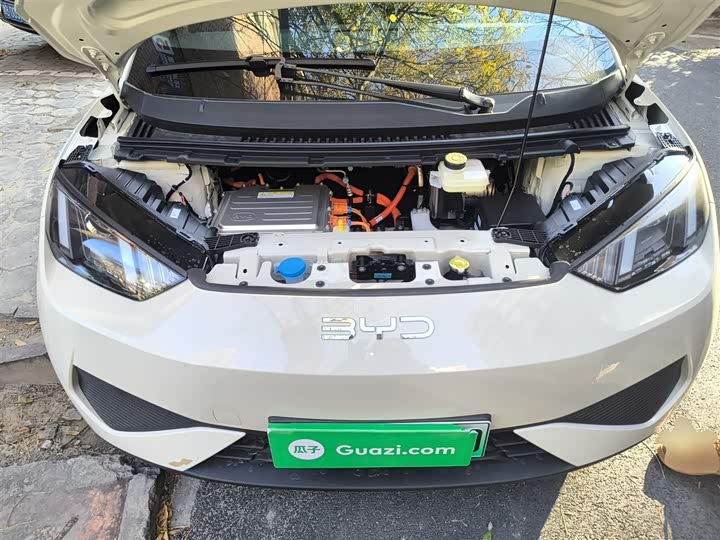 Фото 22 - BYD Seagull