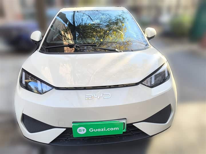 Фото 3 - BYD Seagull