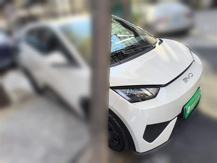 Фото 4 - BYD Seagull