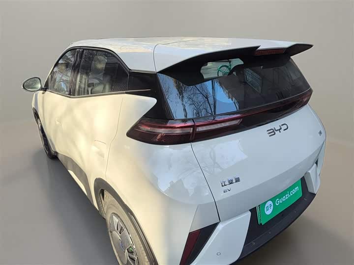 Фото 5 - BYD Seagull