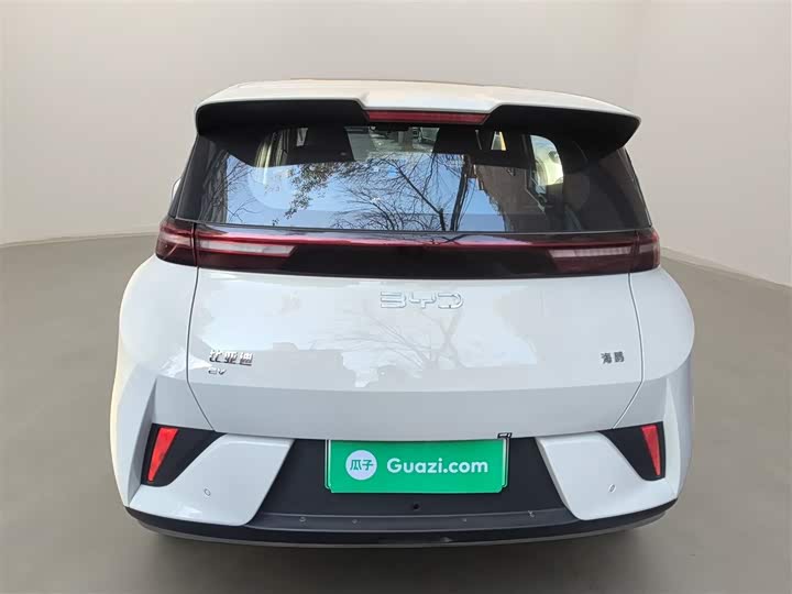 Фото 6 - BYD Seagull