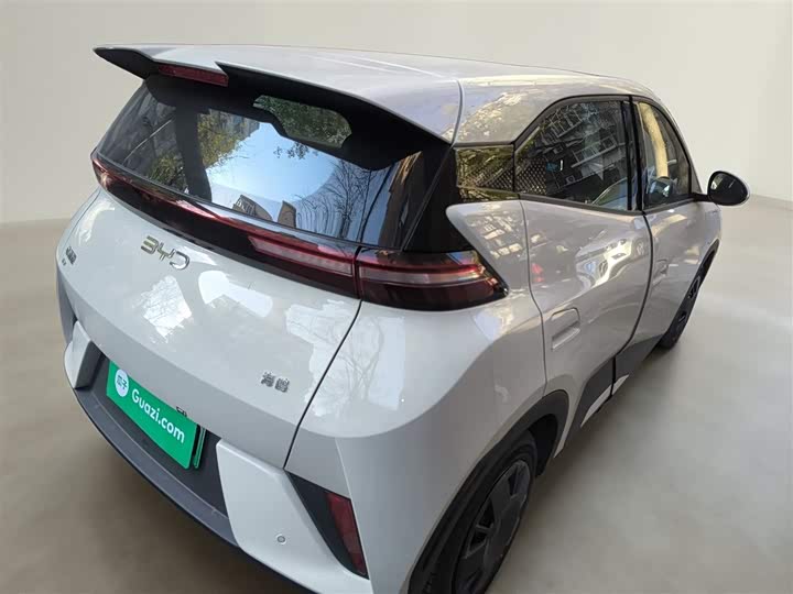 Фото 7 - BYD Seagull