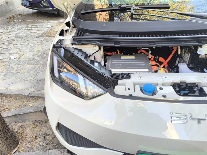 Фото 8 - BYD Seagull