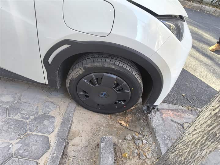 Фото 9 - BYD Seagull